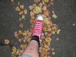 DSCF1283