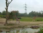 DSCF1579