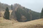 bychelli (22)